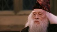 Dumbledore | Image Via: Warner Bros. Pictures